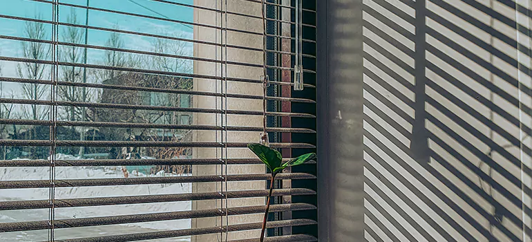 Commercial Window Blinds in Hollywood, FL