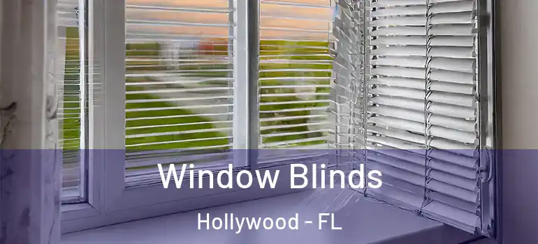  Window Blinds Hollywood - FL