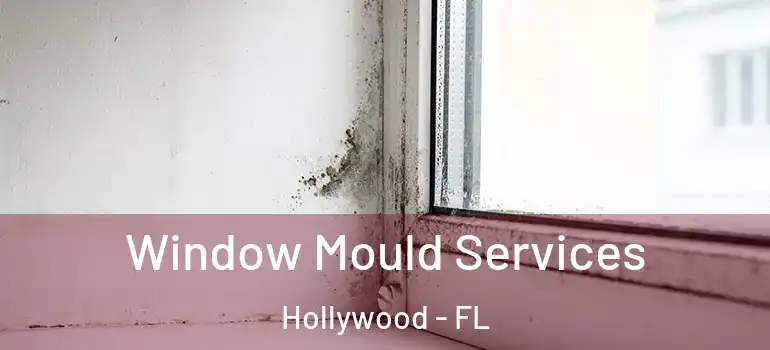  Window Mould Services Hollywood - FL